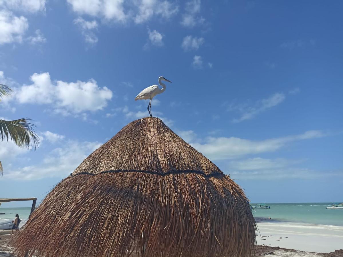 Hostel Utopia Isla Holbox Bagian luar foto