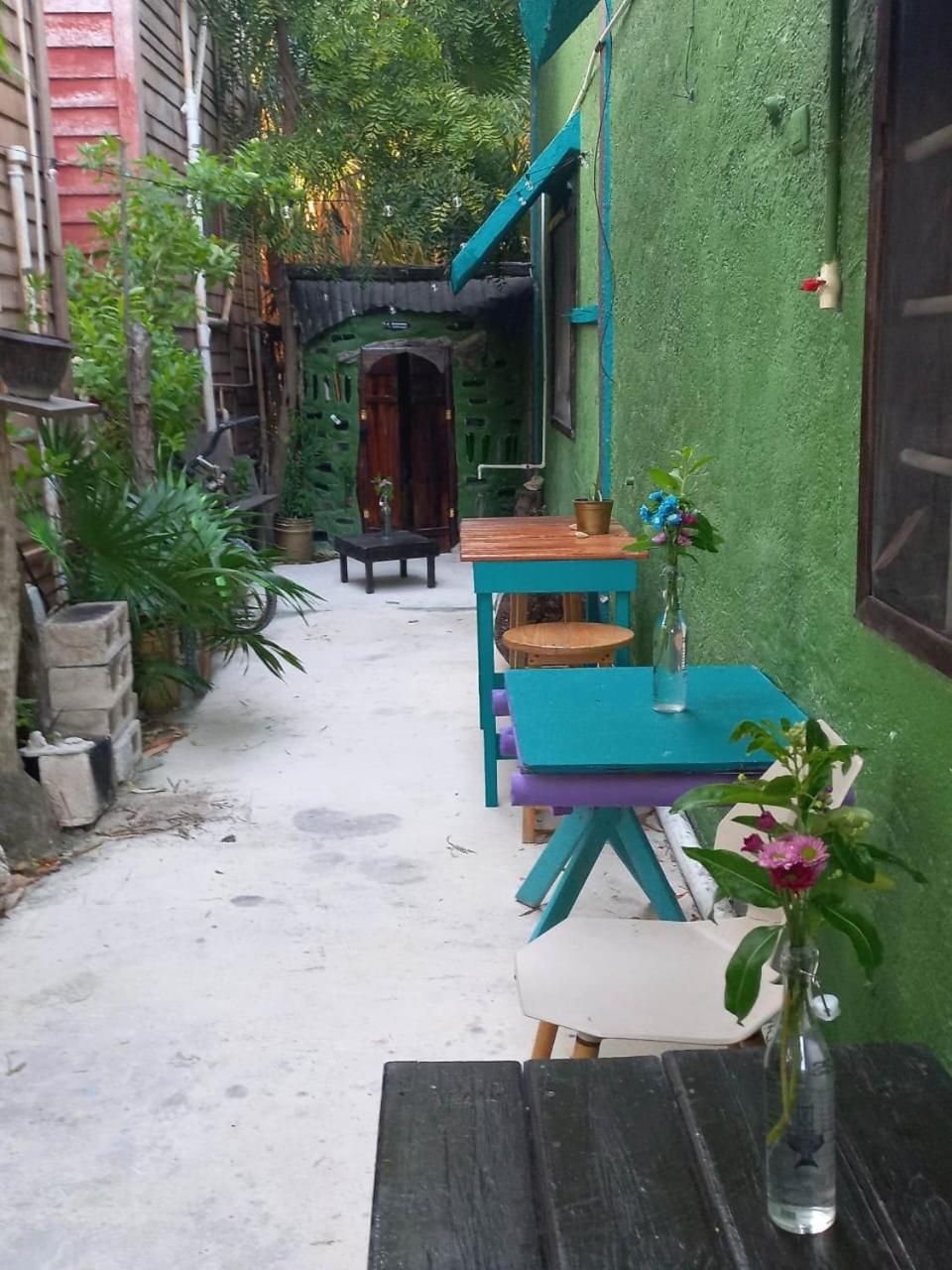 Hostel Utopia Isla Holbox Bagian luar foto